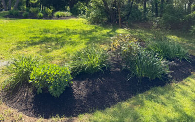 🌿Garden Design & Installation in Concord, MA