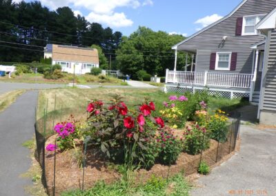 Bunny Proof Gardens in Billerica, MA