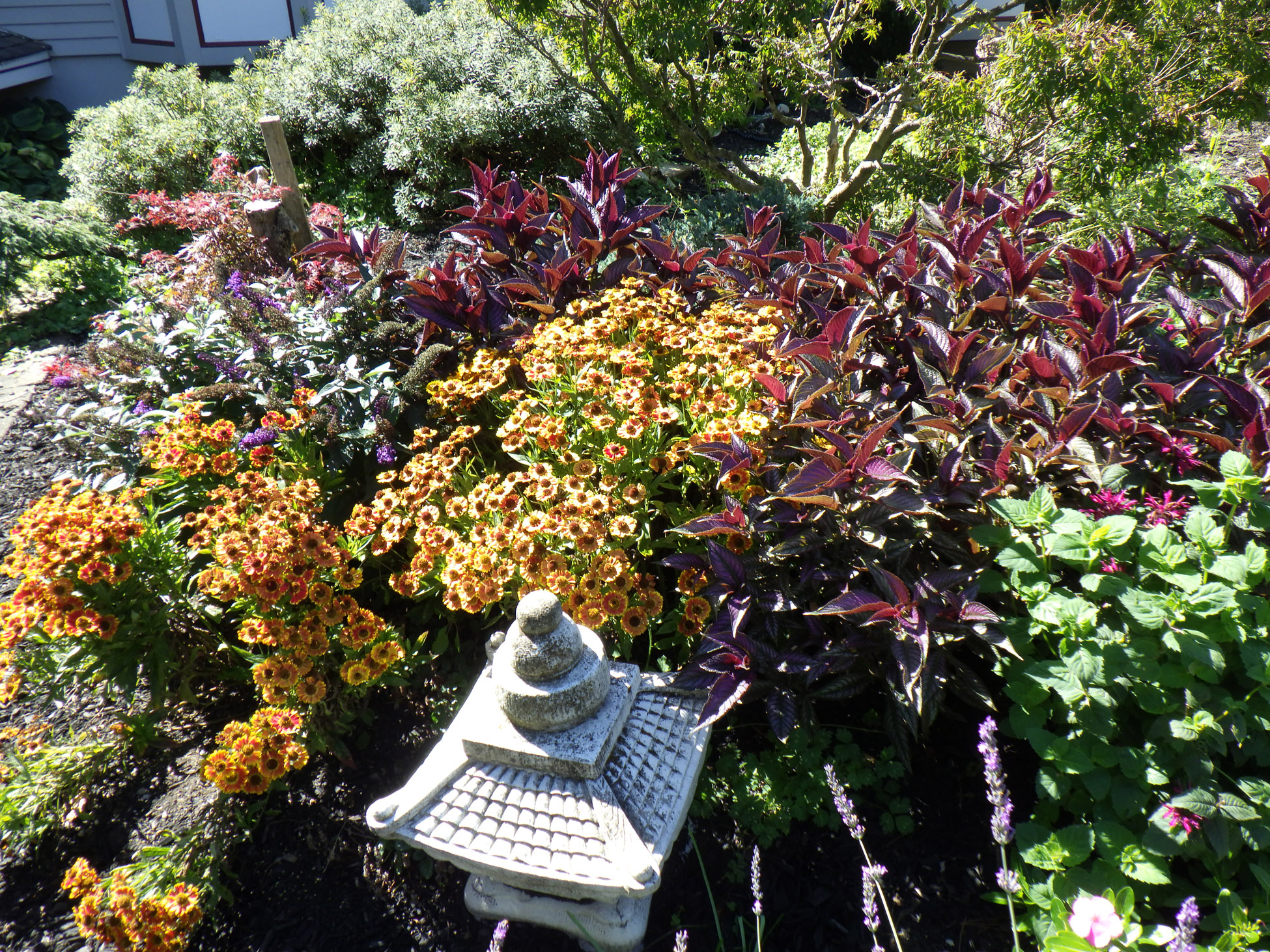 Nashua, NH Garden Design