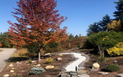 Garden Maintenance in North Conway, NH.