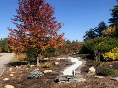 Garden Maintenance in North Conway, NH