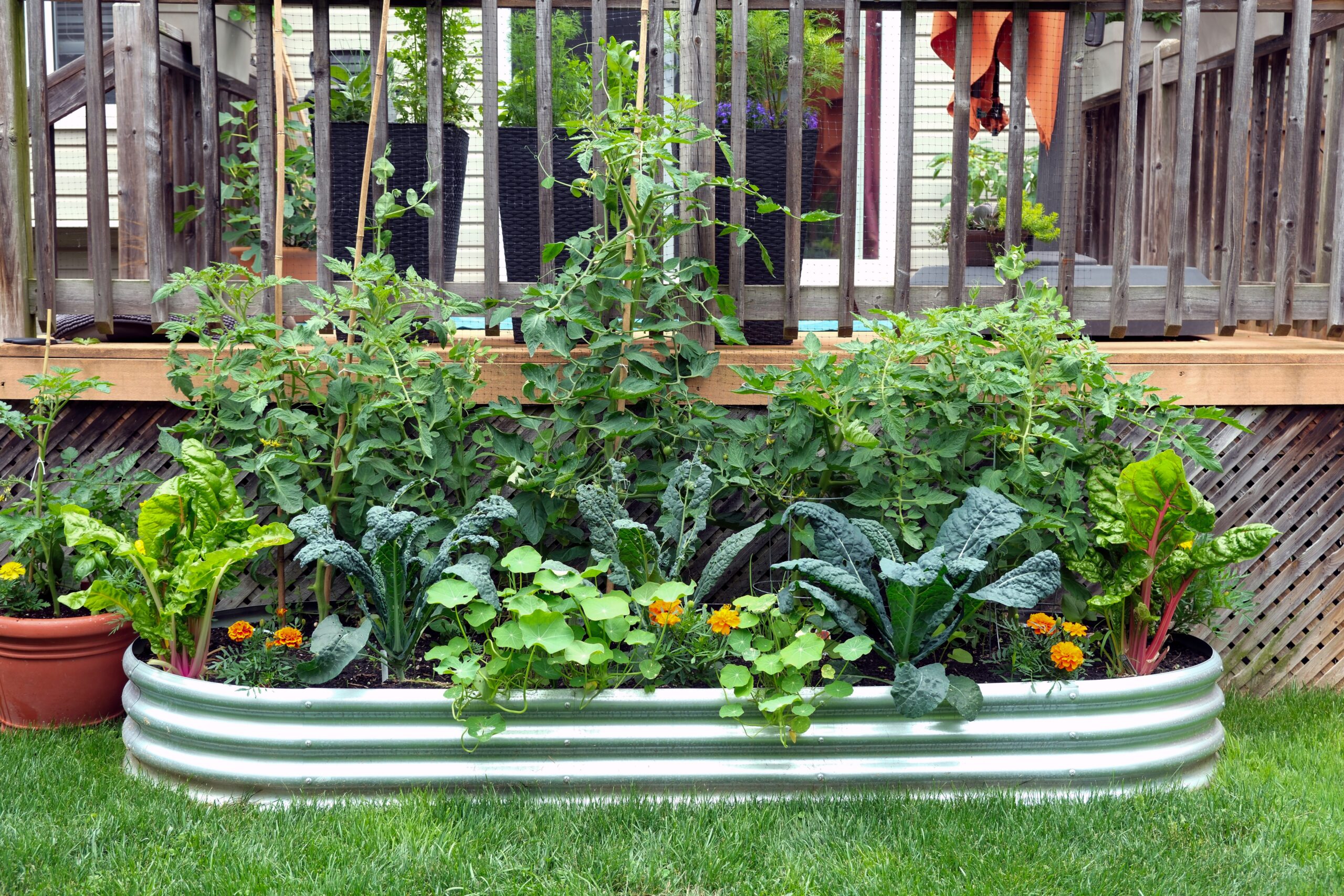 Vegetables,And,Flowers,Grow,Together,In,An,Edible,Garden,Inside