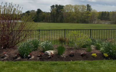 🌸 Garden Maintenance and Seasonal Color Installation in Westford, MA
