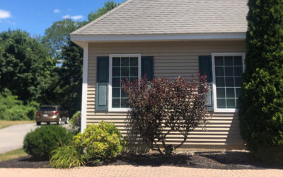 Shrub Pruning in Chelmsford, MA.