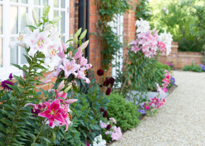 Flower,Border,In,An,English,Garden,With,Oriental,Lilies,,Lily,