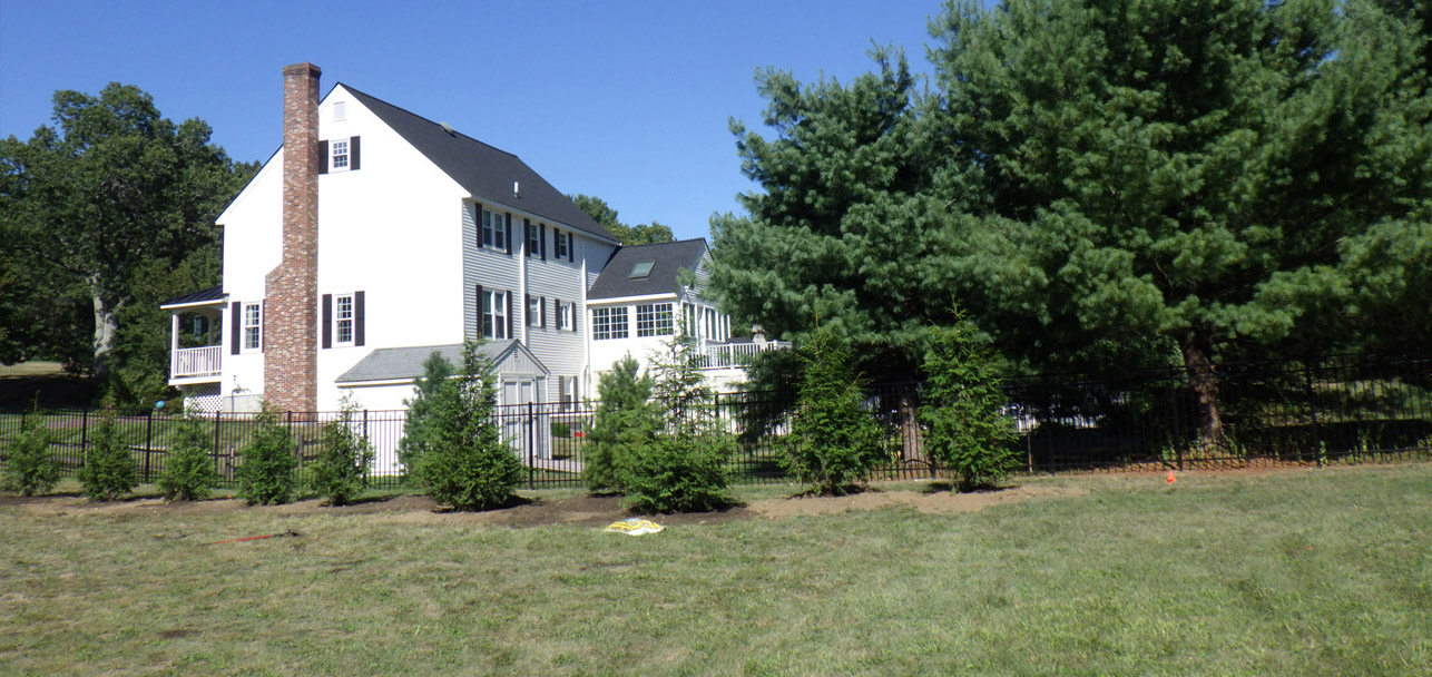 Tree Planting and Installation in Groton, MA. | Greenleaf's Garden Design