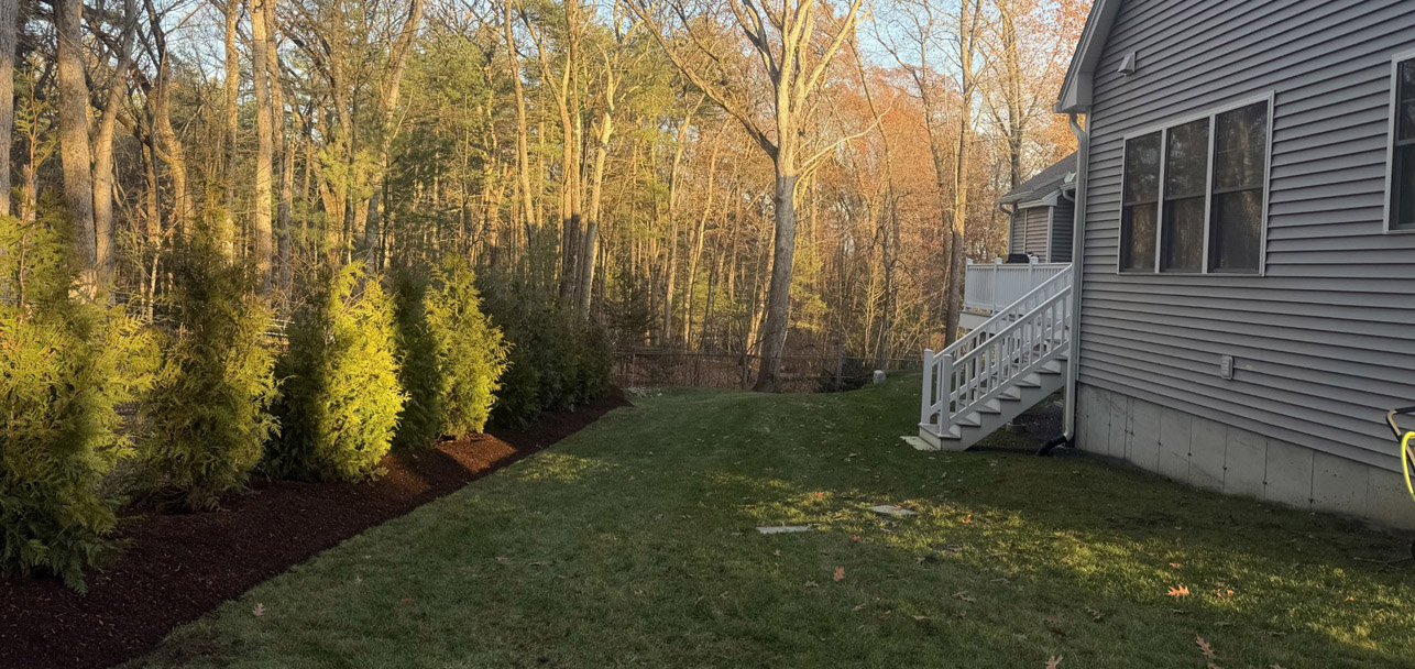 Tree & Shrub Planting in Nashua, NH 🌲🌿