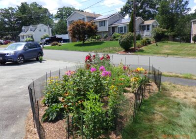 Bunny Proof Gardens in Billerica, MA