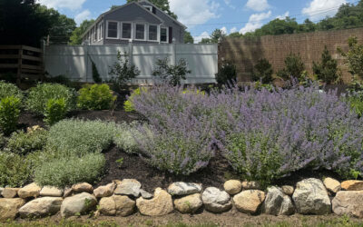 Wildflower Garden Design and Installation in Tyngsboro, MA