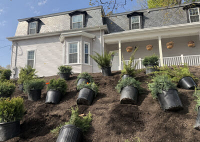 🌿 Garden Design and Installation in Methuen, MA