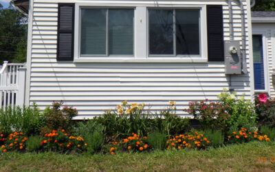Micro Garden Design and Installation in Chelmsford, MA
