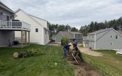 Shrub Planting in Nashua, NH