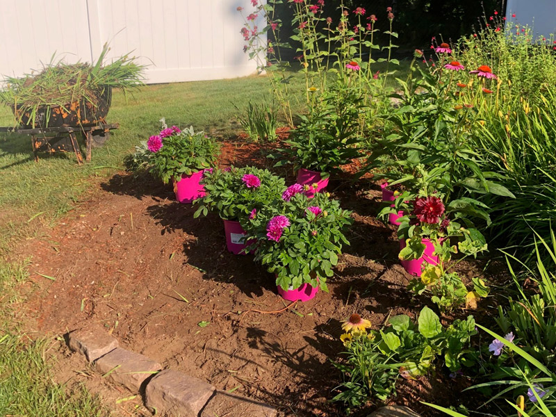 Garden Clean-Up and Maintenance in Tyngsboro, MA.