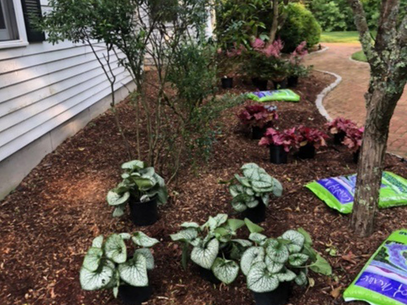 Garden Design and Maintenance in Amherst, NH.