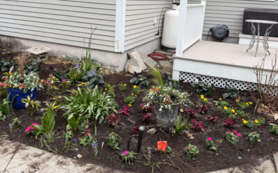 🌸Garden Installation & Seasonal Maintenance in Nashua, NH