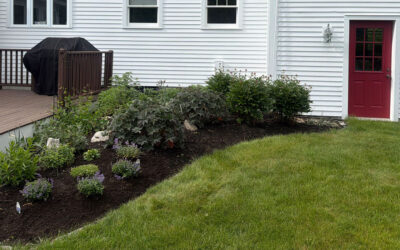 🌿Garden Maintenance in Amherst, NH