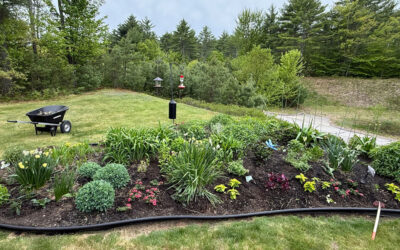 🌿Garden Maintenance in North Conway, NH