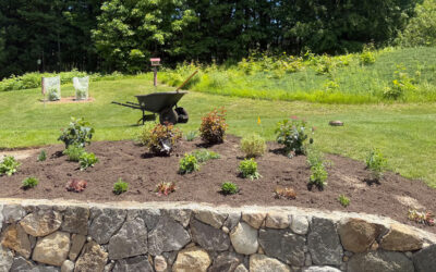 🌿Garden Revitalization and Installation in Tyngsboro, MA