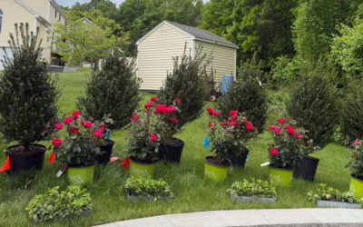 🌿Garden Design & Installation in Hudson, NH