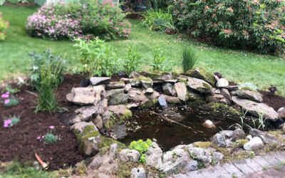 Garden Redesign in Hudson, NH.