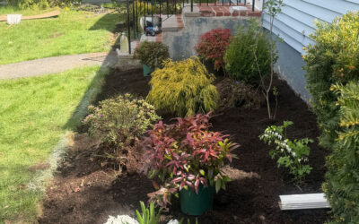 🌿Garden Design in Lowell, MA