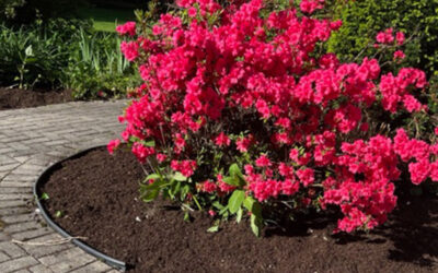Garden Design and Garden Installation in Groton, MA.