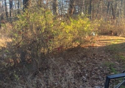 Garden Maintenance and Garden Installation in Merrimack, NH. Our Merrimack, NH client had us pull out honeysuckle bushes and bittersweet with the Dingo. We then planted 25 Staghorn and 25 Low Grow Sumac along a riverbank. Each hole had 3 shovels of compost.