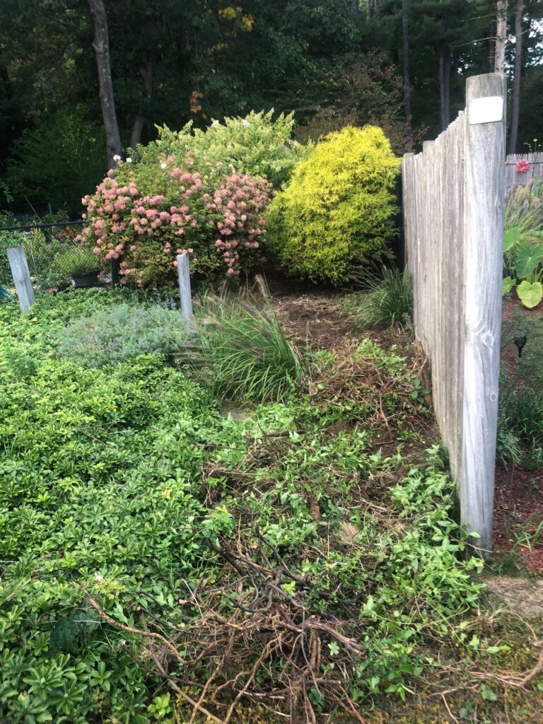 Garden Maintenance in Nashua, NH.