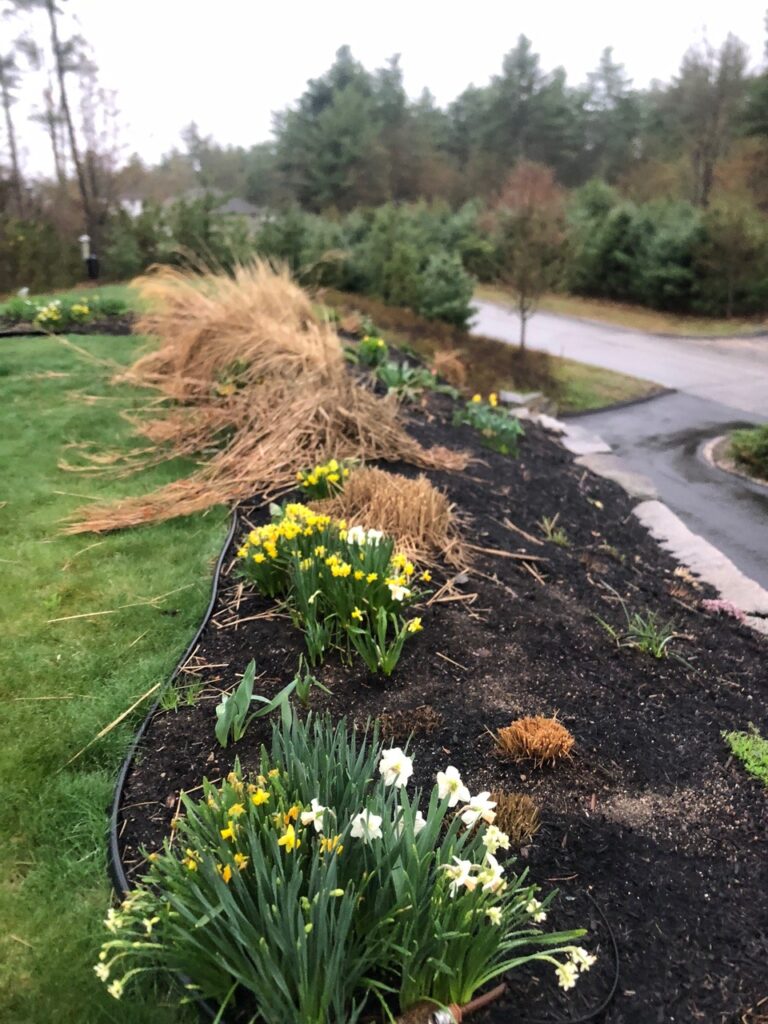 Spring Garden Maintenance in North Conway, NH