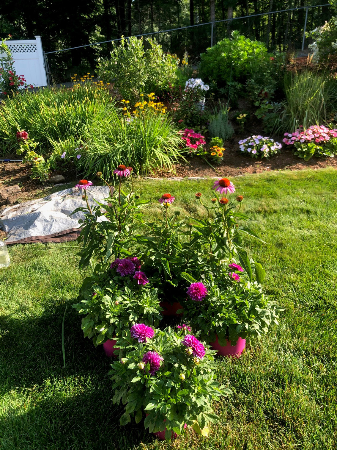 Garden Clean-Up and Maintenance in Tyngsboro, MA.