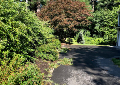 Garden Maintenance and Pruning in Bedford, MA.