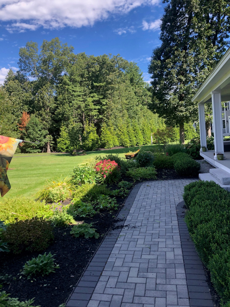 Garden Clean-Up and Pruning in Groton, MA.