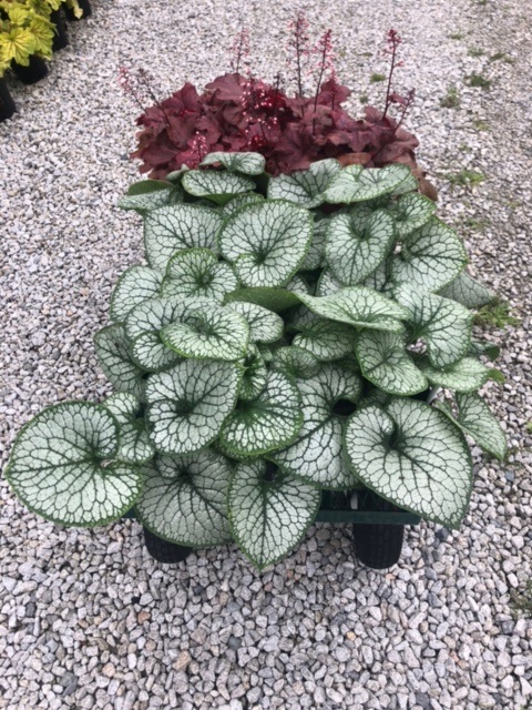 Garden Design and Maintenance in Amherst, NH.