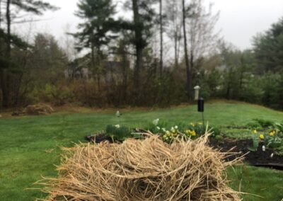 Spring Garden Maintenance in North Conway, NH