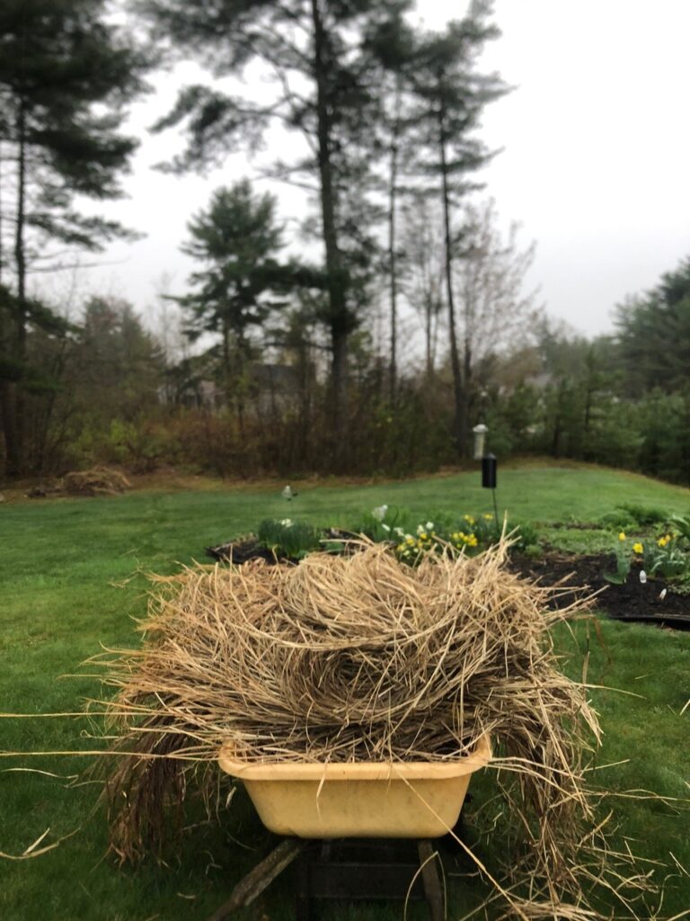 Spring Garden Maintenance in North Conway, NH