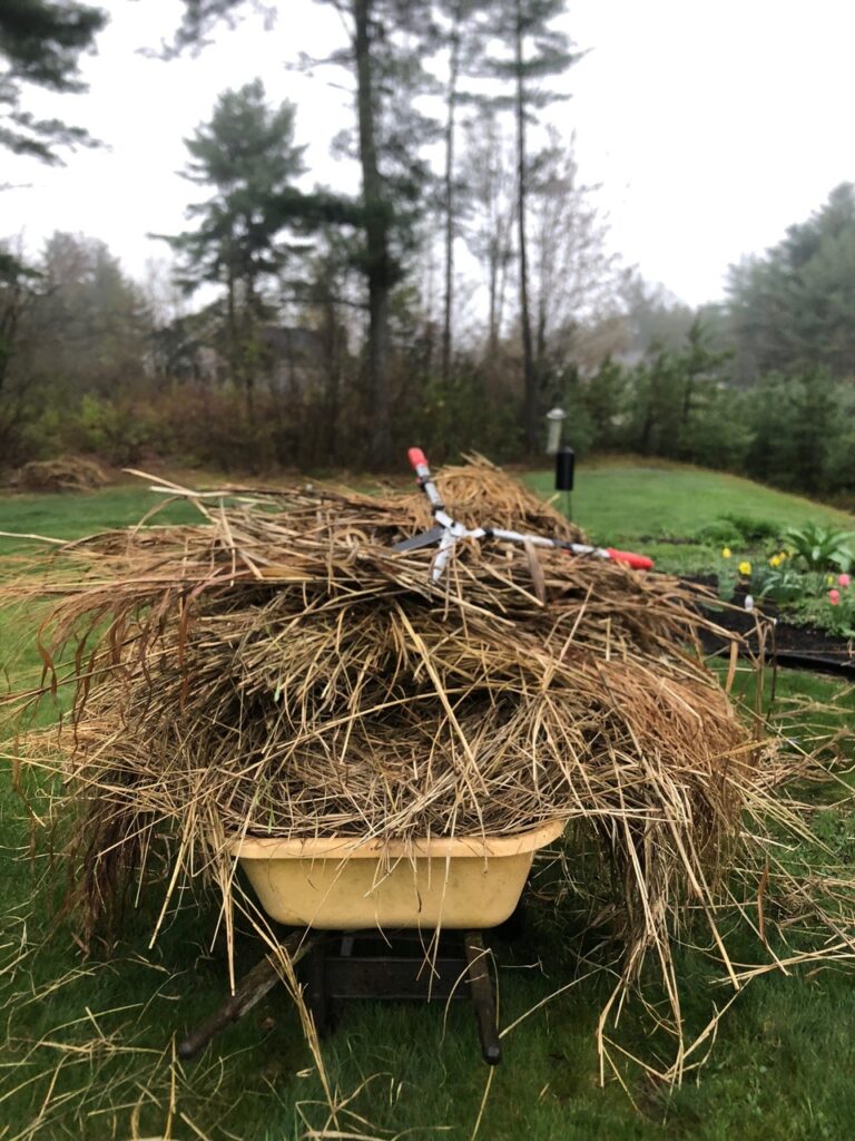 Spring Garden Maintenance in North Conway, NH