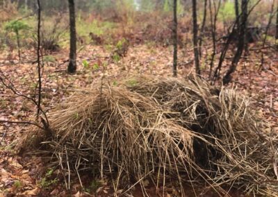 Spring Garden Maintenance in North Conway, NH