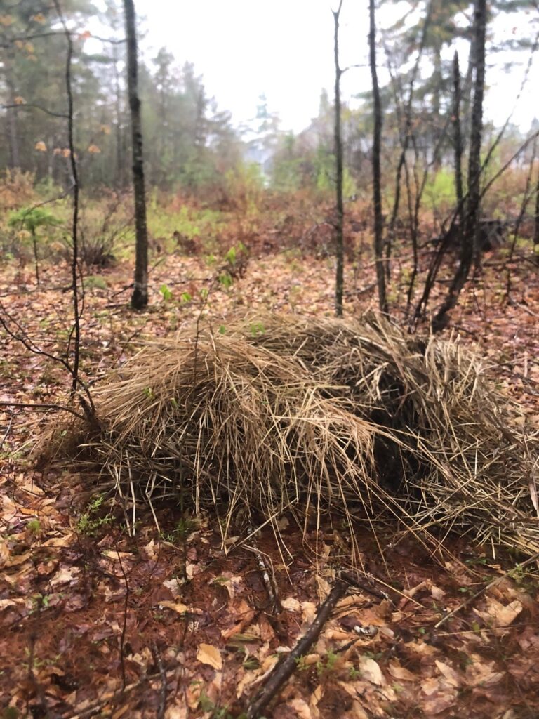 Spring Garden Maintenance in North Conway, NH