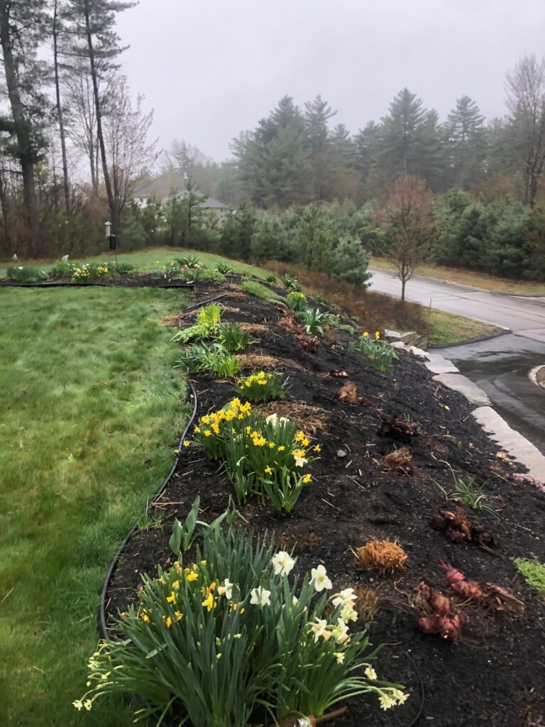 Spring Garden Maintenance in North Conway, NH