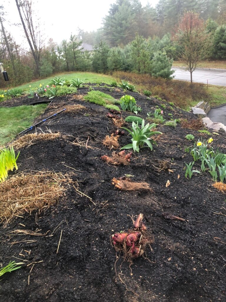 Spring Garden Maintenance in North Conway, NH