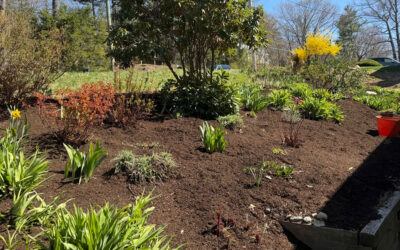Spring Mulching in Nashua, NH