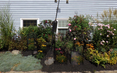Garden Design and Maintenance in Pepperell, MA