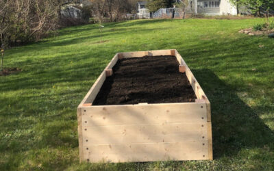 Garden Maintenance and Design in Dracut, MA.