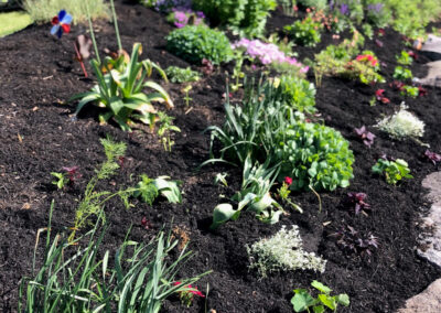 At our 6-year-old North Conway, NH gardens we added 15 annuals, 30 perennials, and 4 yards of black mulch. It took 2 gentlemen 8 hours to complete the renovations.