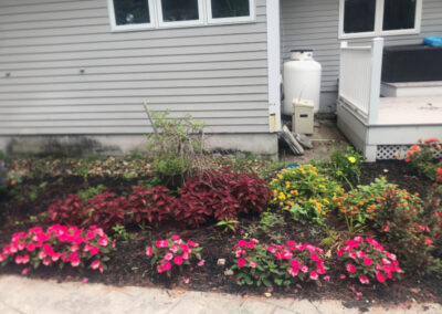 Garden Installation in South Nashua, NH Progress Report. We returned to this garden in South Nashua, NH to check on the progress of the beautiful annuals we planted.