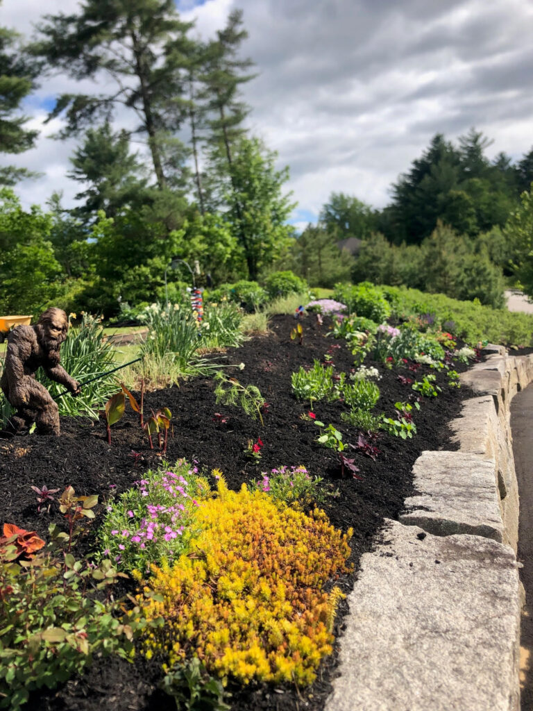 At our 6-year-old North Conway, NH gardens we added 15 annuals, 30 perennials, and 4 yards of black mulch. It took 2 gentlemen 8 hours to complete the renovations.