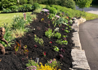 At our 6-year-old North Conway, NH gardens we added 15 annuals, 30 perennials, and 4 yards of black mulch. It took 2 gentlemen 8 hours to complete the renovations.