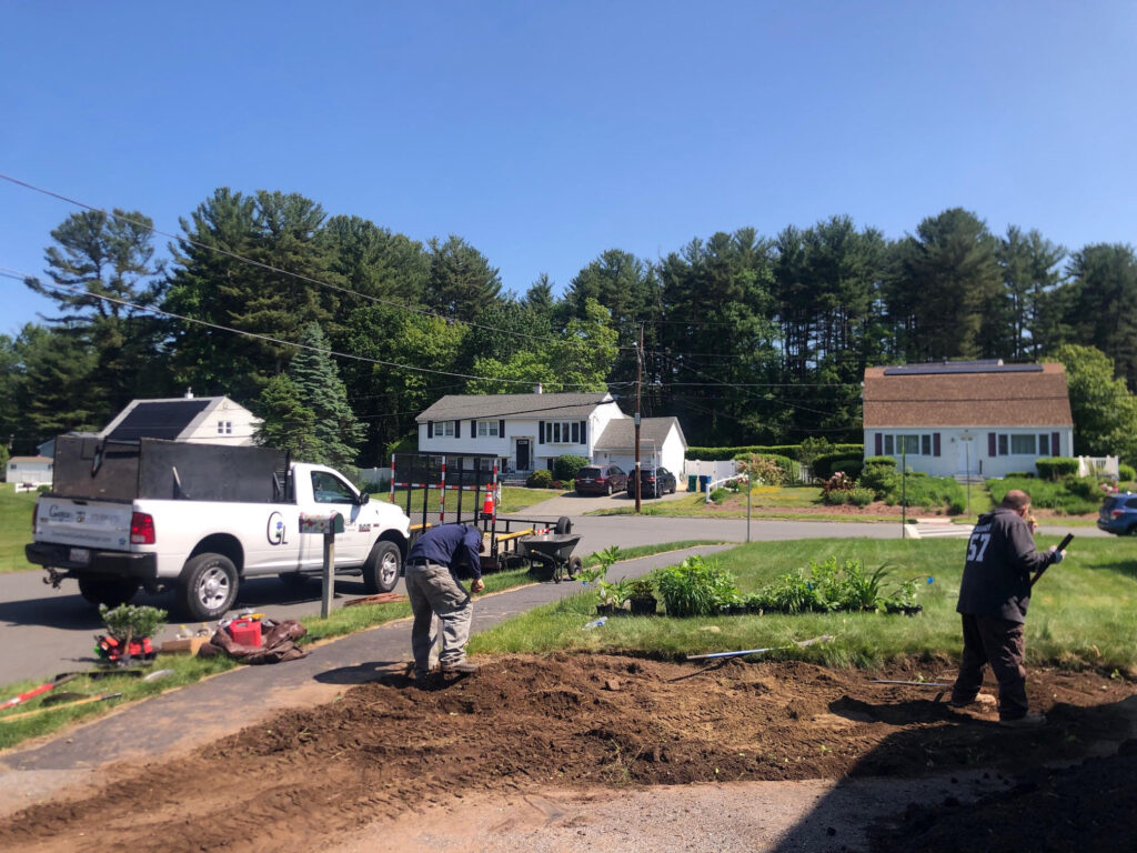 We were called in to see if this old garden in Billerica, MA with bittersweet could be saved. I said the best bet is to dig everything up and go down 8” deep. The Dingo made short work of removing the 7 yards of soil and then replacing it. The new 30 summer focused flowering perennials made the bunnies mad because the fence will keep them out!! This garden took 6 hours to complete.