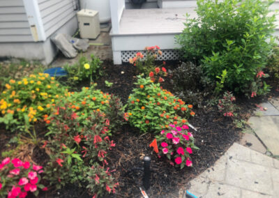 Garden Installation in South Nashua, NH Progress Report. We returned to this garden in South Nashua, NH to check on the progress of the beautiful annuals we planted.