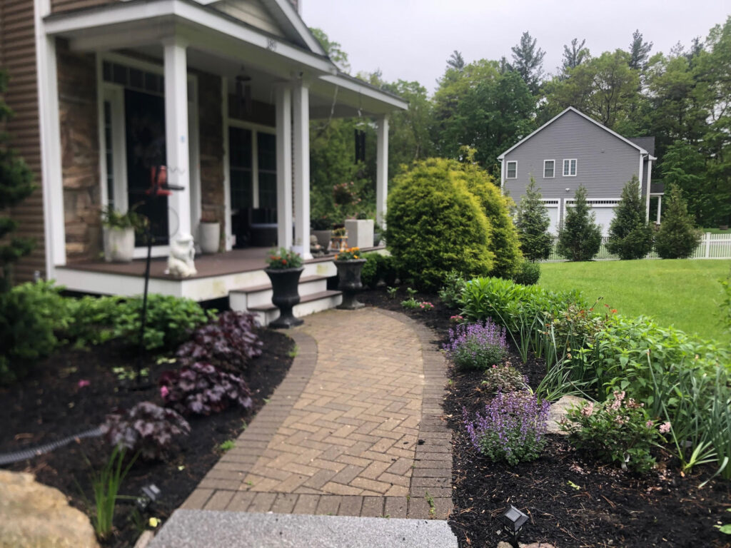 In our one-year-old Bolton, MA garden, I replaced a few plants that didn’t make it through winter. This garden has a lot of purple!!!